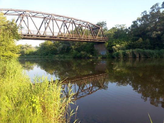 Wriezener Alte Oder (Hohensaaten)-2