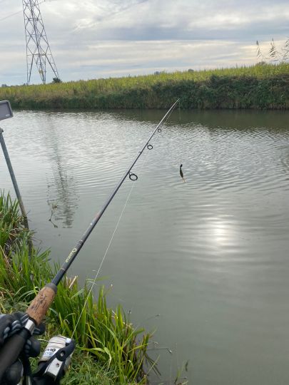 Linge (Doornenburg)-1