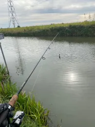 Linge (Doornenburg)-1