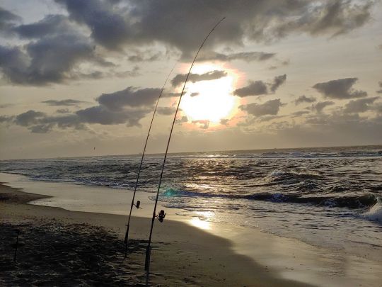 Nordsee (Texel) angeln