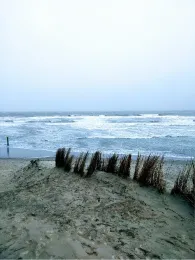 Nordsee (Texel)-3