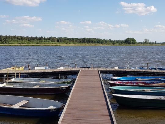 Latzigsee angeln