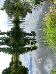 Havelkanal (Falkenrehde)-1