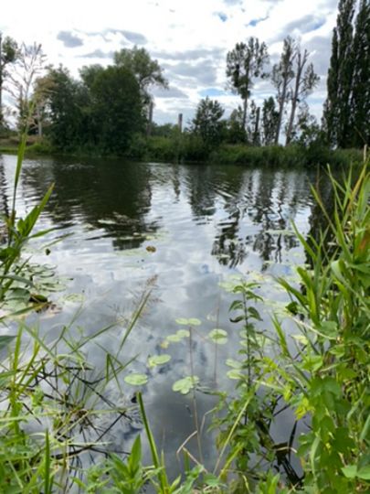 Havelkanal (Falkenrehde)-2