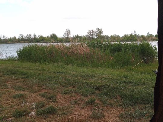 Froschteich (Geratal Kies)-2