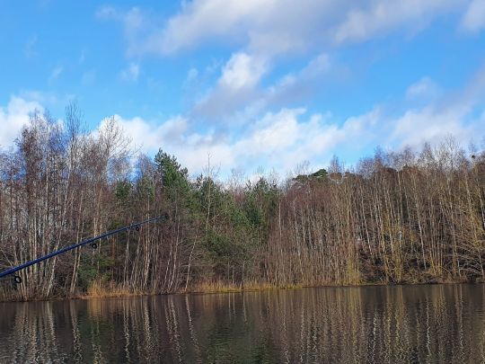 Tonkuhle Twistringen-1