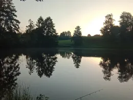 Landschaftsweiher Hohenau-3