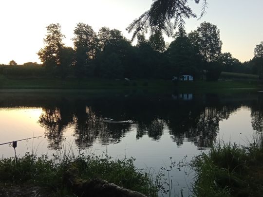 Landschaftsweiher Hohenau-2