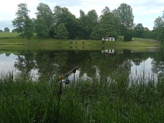 Landschaftsweiher Hohenau-1