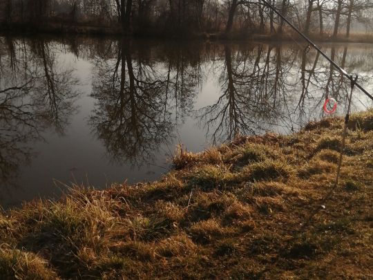 Schlossteich Lippitsch-3