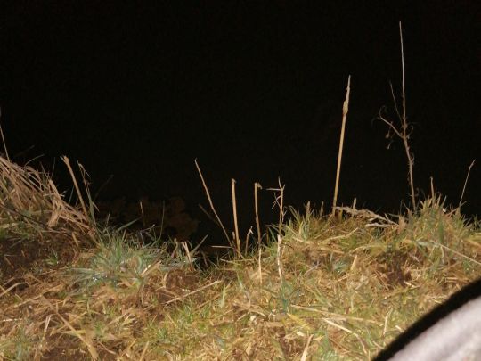 Schlossteich Lippitsch-4