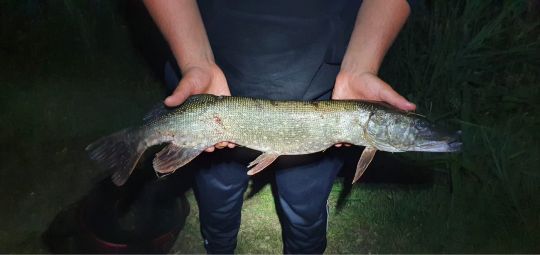 Schlossteich Lippitsch-1