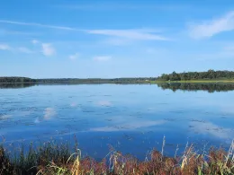 Étang de Gondrexange-1