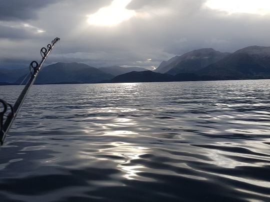 Onarheimsfjorden-0
