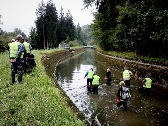 Triftbach (Bruckmühl)-4