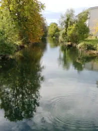 Triftbach (Bruckmühl)-1