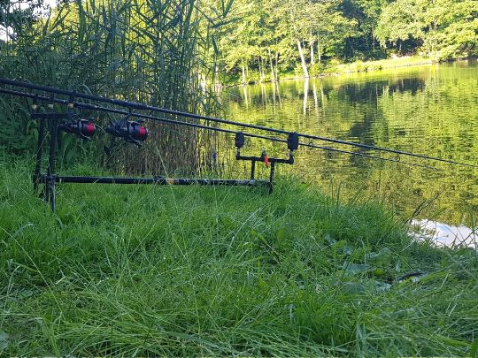 Burbacher Waldweiher (Saarbrücken)-2