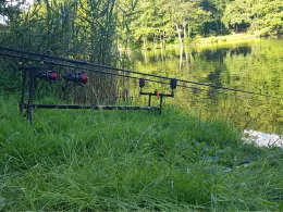 Burbacher Waldweiher (Saarbrücken)-2