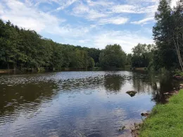 Burbacher Waldweiher (Saarbrücken)-4