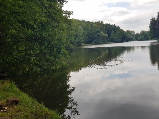 Burbacher Waldweiher (Saarbrücken)