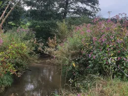 Neufnach (Langenneufnach)