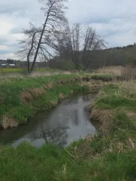 Neufnach (Langenneufnach)-2