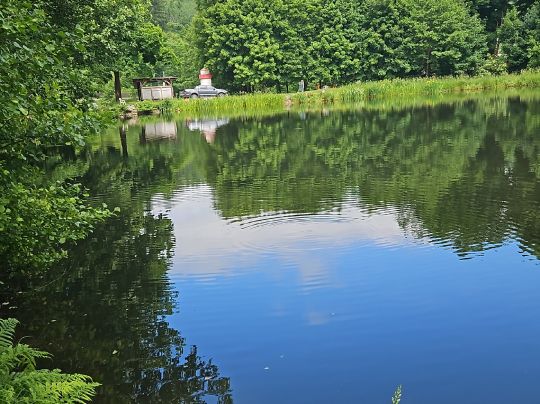 Weiher Rittersgrün-3
