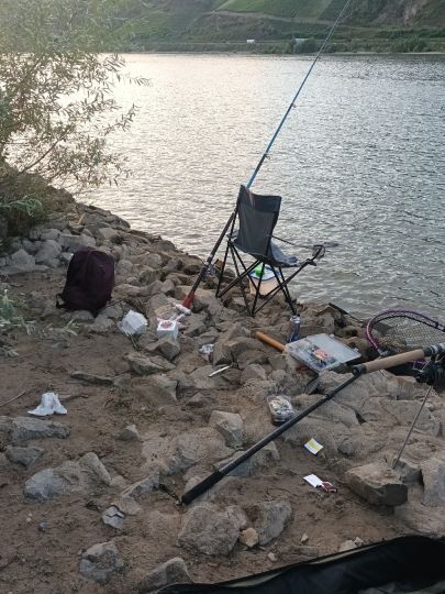 Rhein (Osterspai/Spay)-2