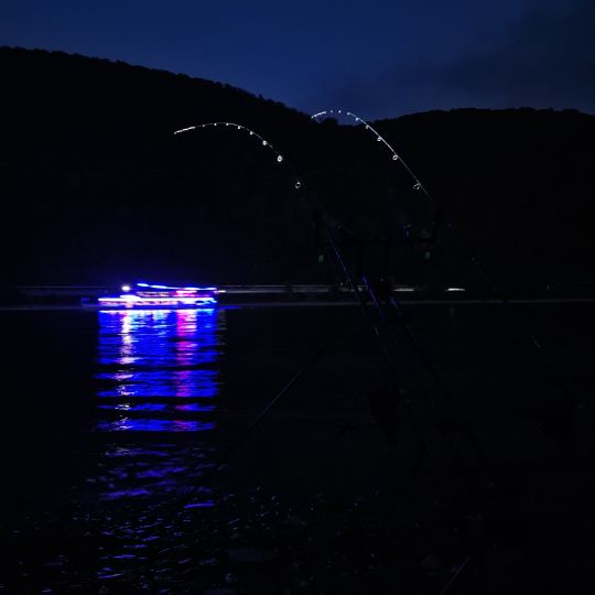 Rhein (Osterspai/Spay)-4