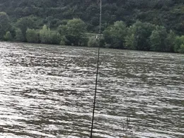 Rhein (Osterspai/Spay)-3