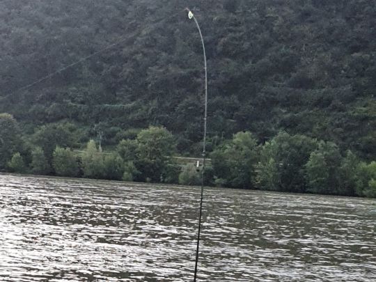 Rhein (Osterspai/Spay)-1