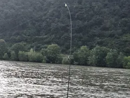 Rhein (Osterspai/Spay)-1