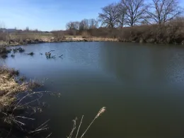 Froschweiher (Monheim)