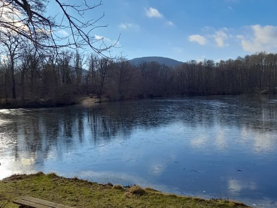 Mönchemühlenteich-4