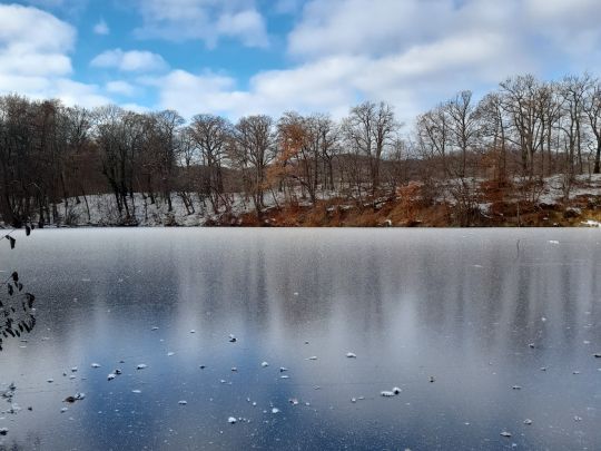 Mönchemühlenteich-3