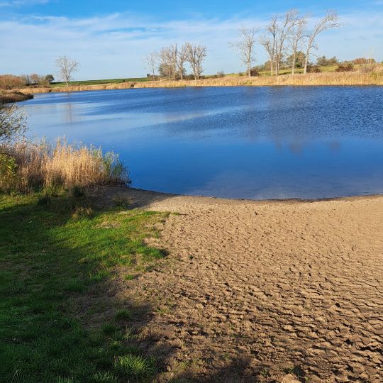 Große Sandfürchen (Osternienburg)-1