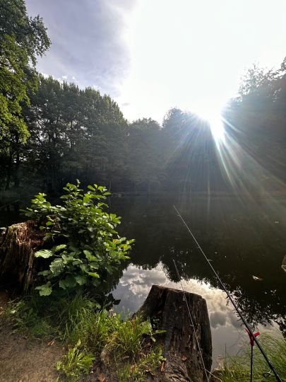 Angelteich Reinhardsbrunn-1