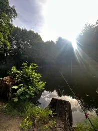 Angelteich Reinhardsbrunn-1