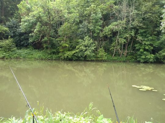 Jagst (Möckmühl)-2