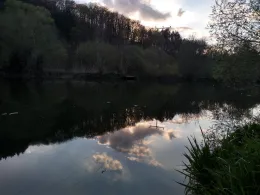 Jagst (Möckmühl)-0