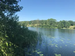 Holzsee (Nettelsee)-1