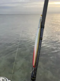 Ostsee (Neukirchen)-1