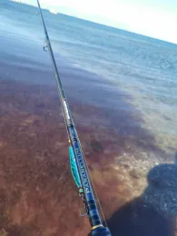 Ostsee (Neukirchen)-2