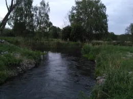 Finowkanal (Niederfinow)-1