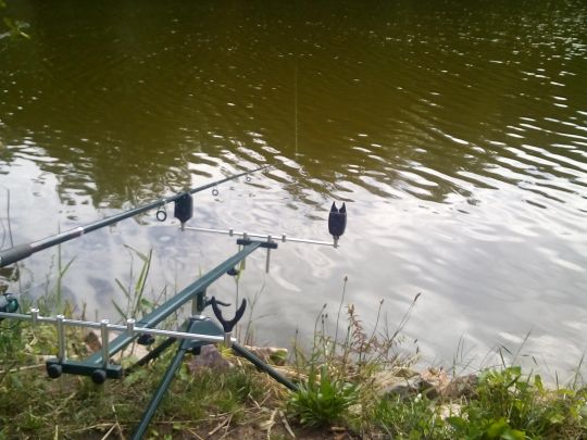 Brückweiher (Jägersburg) angeln