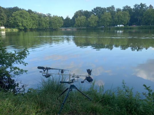 Brückweiher (Jägersburg)-2