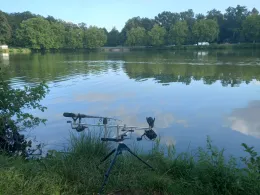 Brückweiher (Jägersburg)-2