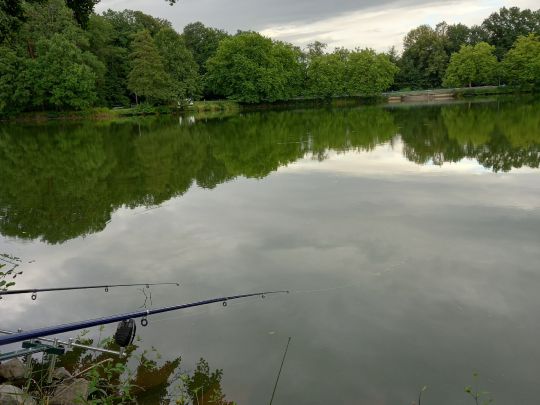 Brückweiher (Jägersburg)-4