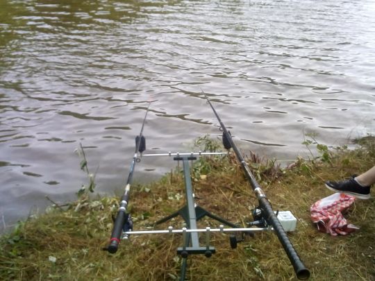 Brückweiher (Jägersburg)-1