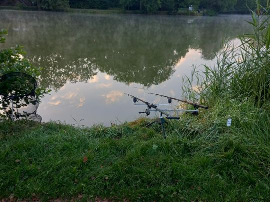 Brückweiher (Jägersburg)-3